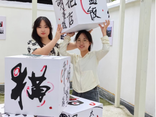 日本成人动画